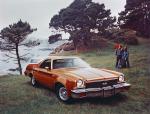 Chevrolet El Camino SS Sedan-Pickup 1973 года